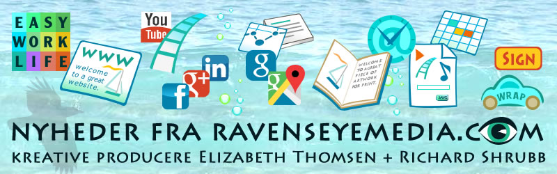 Raven's Eye Media